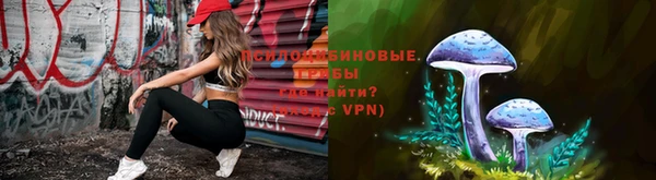 шишки Абинск