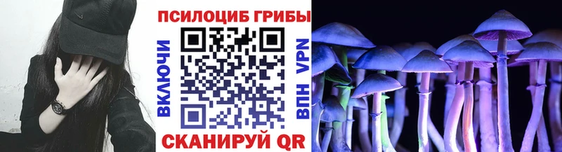 shop наркотические препараты Заволжье Псилоцибиновые грибы прущие грибы