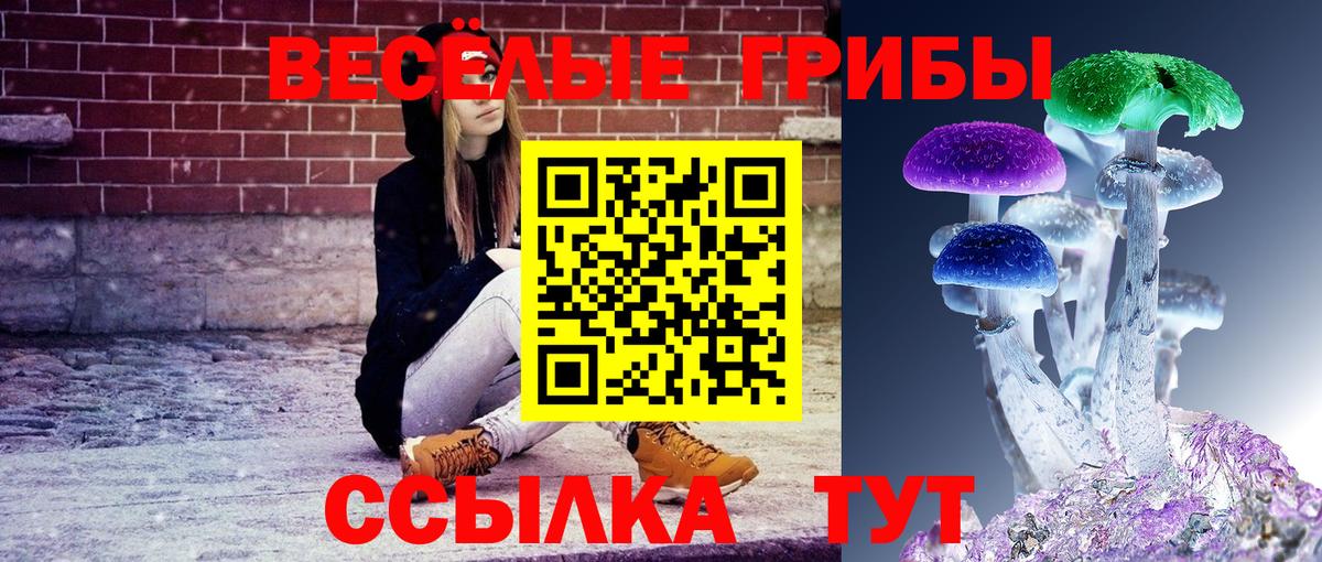 Псилоцибиновые грибы MAGIC MUSHROOMS  Псилоцибиновые грибы Psilocybine cubensis  Вход с VPN  Заволжье 