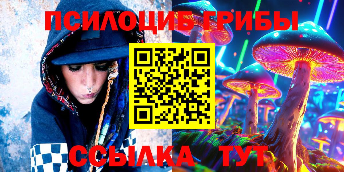 Галлюциногенные грибы Psilocybe Заволжье